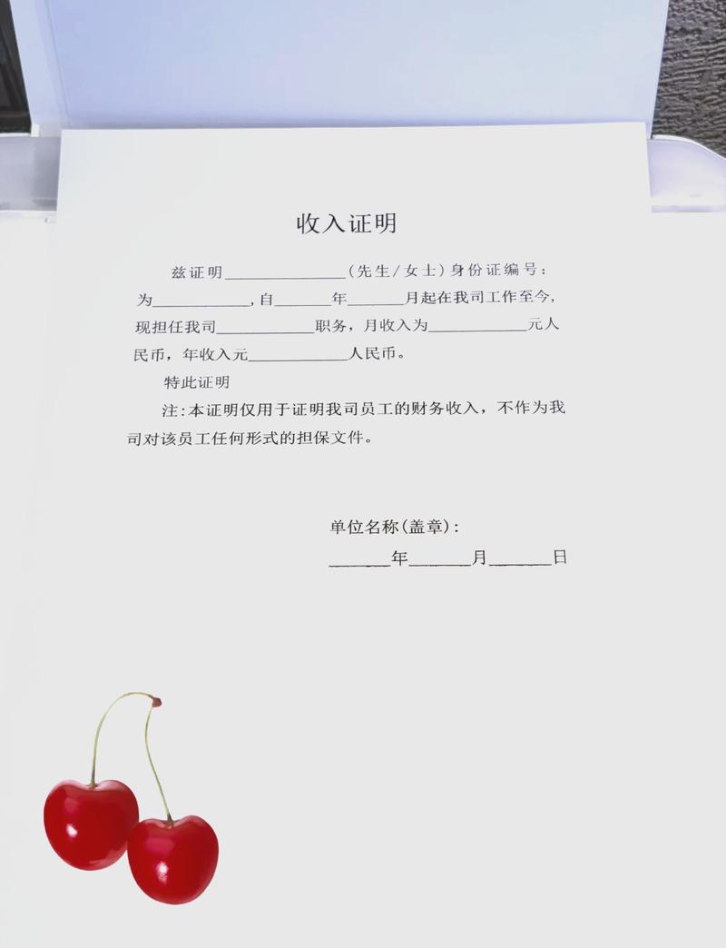 济南代开收入证明的正确姿势：张会计的突围战